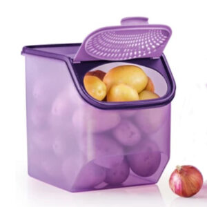 Tupperware Garlic N All Keeper